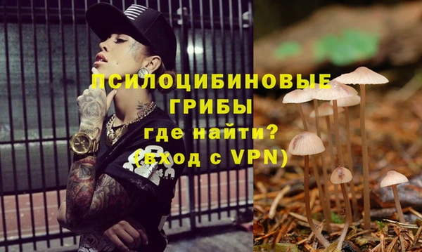 спиды Горнозаводск
